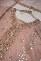 Tehwar - Luxury Organza Outfit - Festive Collection - Ready to Wear - Eid25 - TEHV8D2-SD