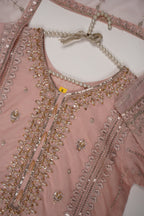 Tehwar - Luxury Organza Outfit - Festive Collection - Ready to Wear - Eid25 - TEHV8D2-SD