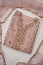 Tehwar - Luxury Organza Outfit - Festive Collection - Ready to Wear - Eid25 - TEHV8D2-SD