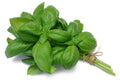 Basil (20g)