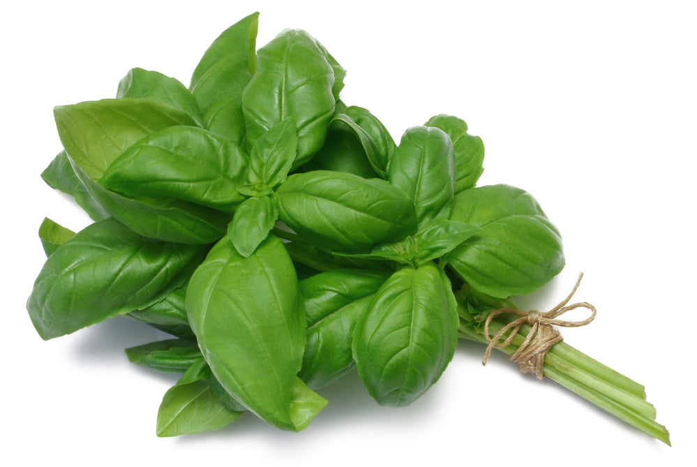 Basil (20g)
