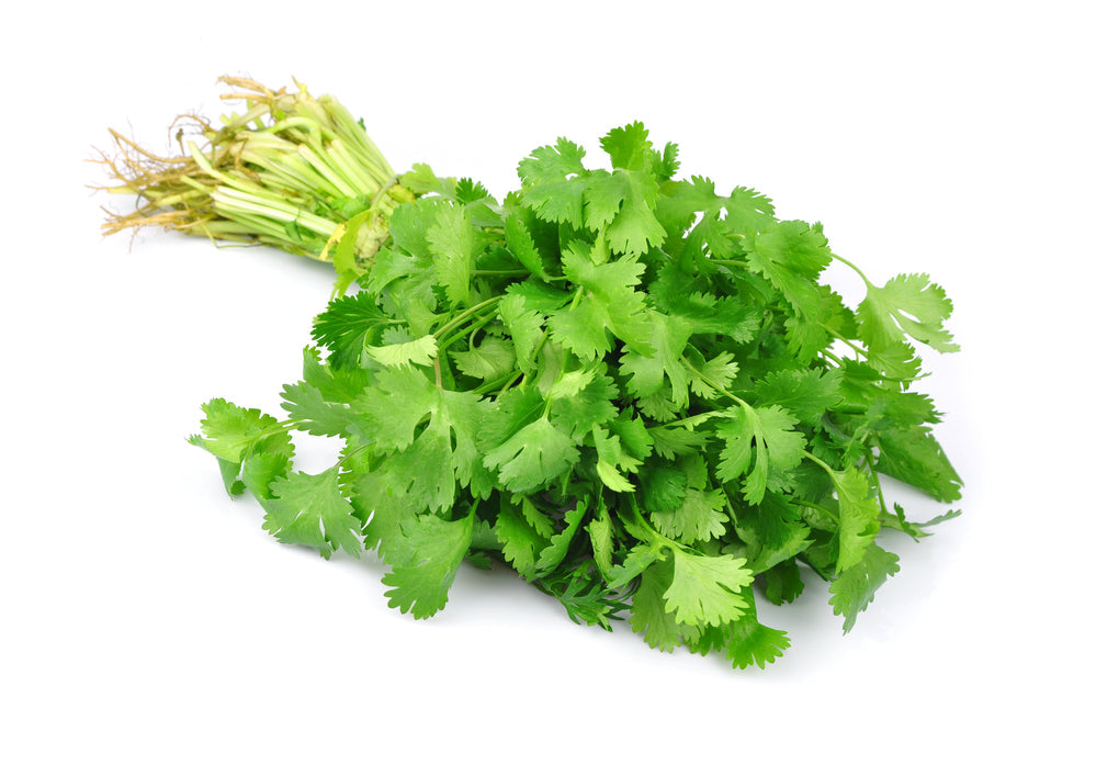 Coriander (20g)