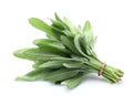 Sage (20g)