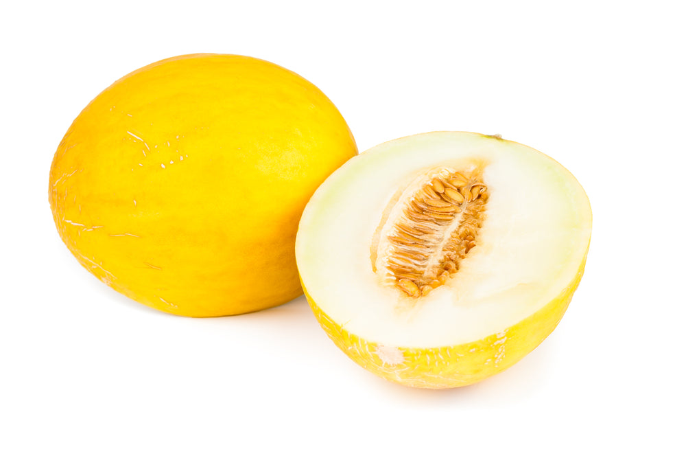 Honeydew Melon