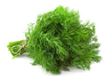 Dill (20g)