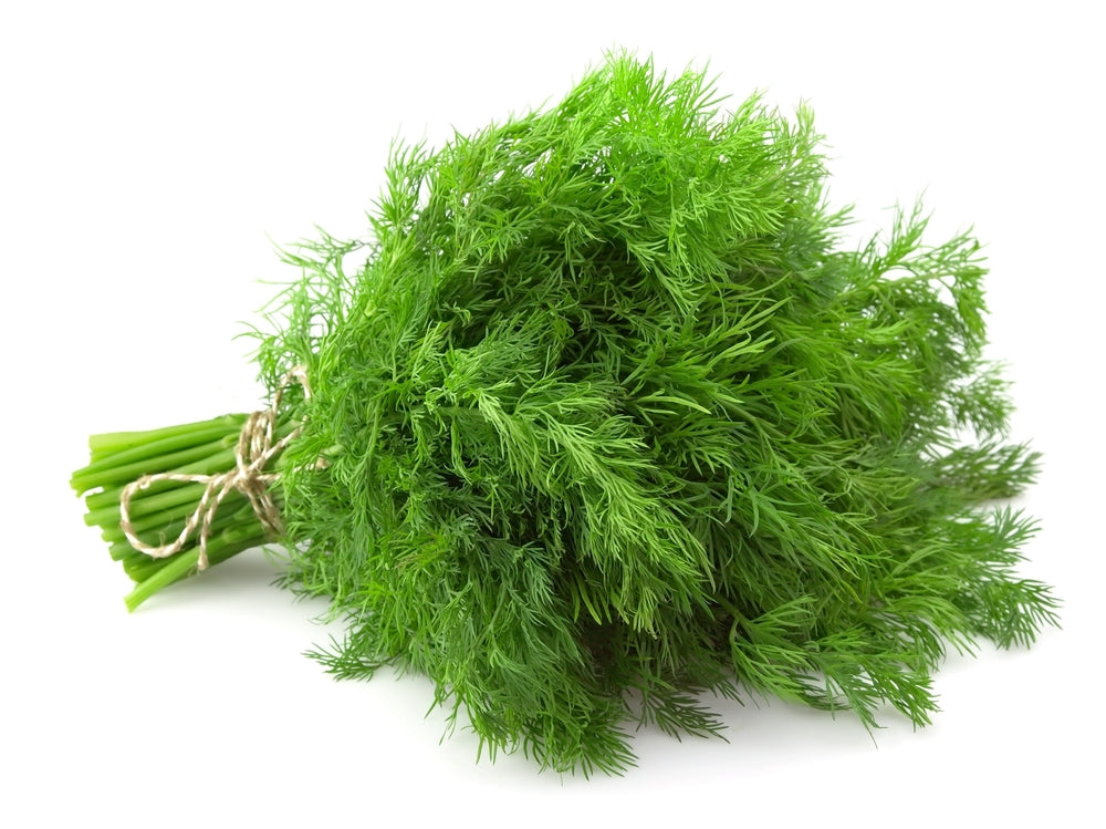 Dill (20g)