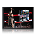 Dominik Mysterio Signed Image Iconic Frame (JSA)