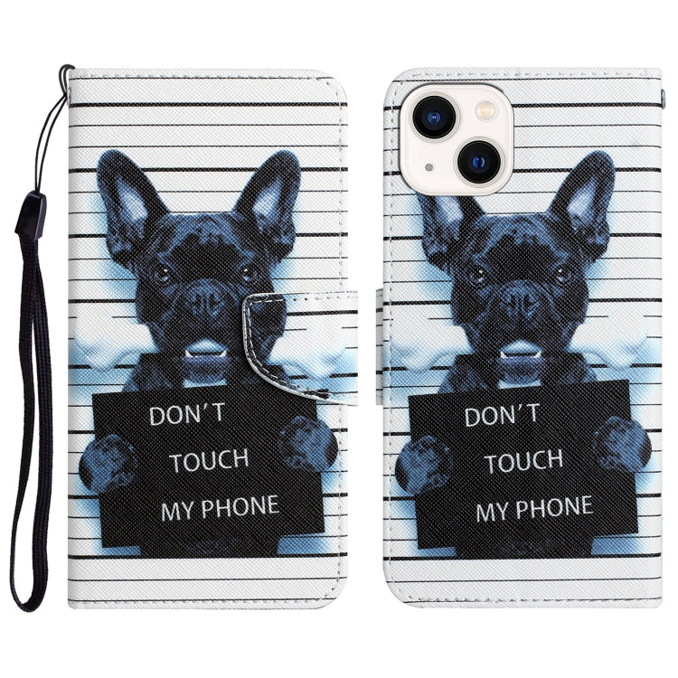 Colored Drawing Leather Phone Case, For iPhone 14 Plus