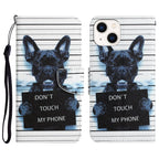Colored Drawing Leather Phone Case, For iPhone 13 mini
