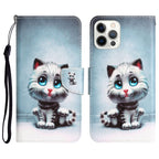 Colored Drawing Leather Phone Case, For iPhone 13 Pro