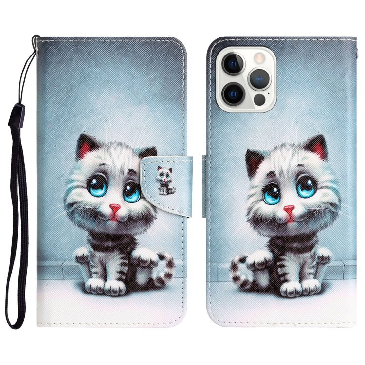 Colored Drawing Leather Phone Case, For iPhone 13 Pro