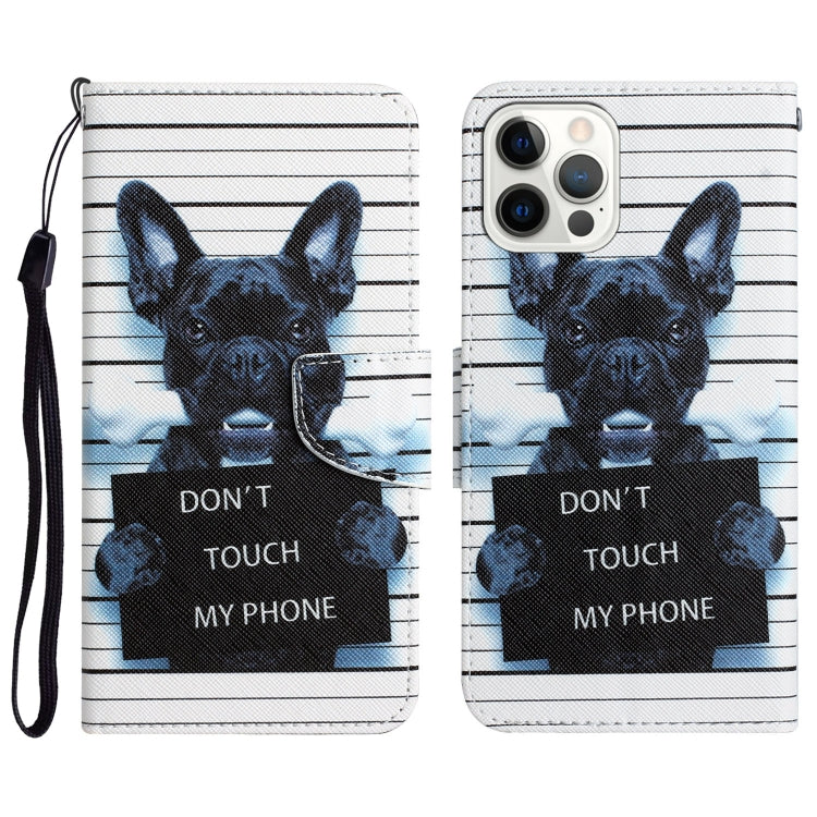 Colored Drawing Leather Phone Case, For iPhone 13 Pro Max