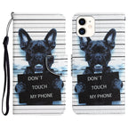 Colored Drawing Leather Phone Case, For iPhone 12 mini