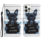 Colored Drawing Leather Phone Case, For iPhone 12 / 12 Pro
