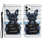 Colored Drawing Leather Phone Case, For iPhone 11 Pro