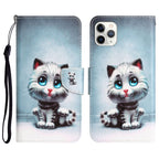Colored Drawing Leather Phone Case, For iPhone 11 Pro