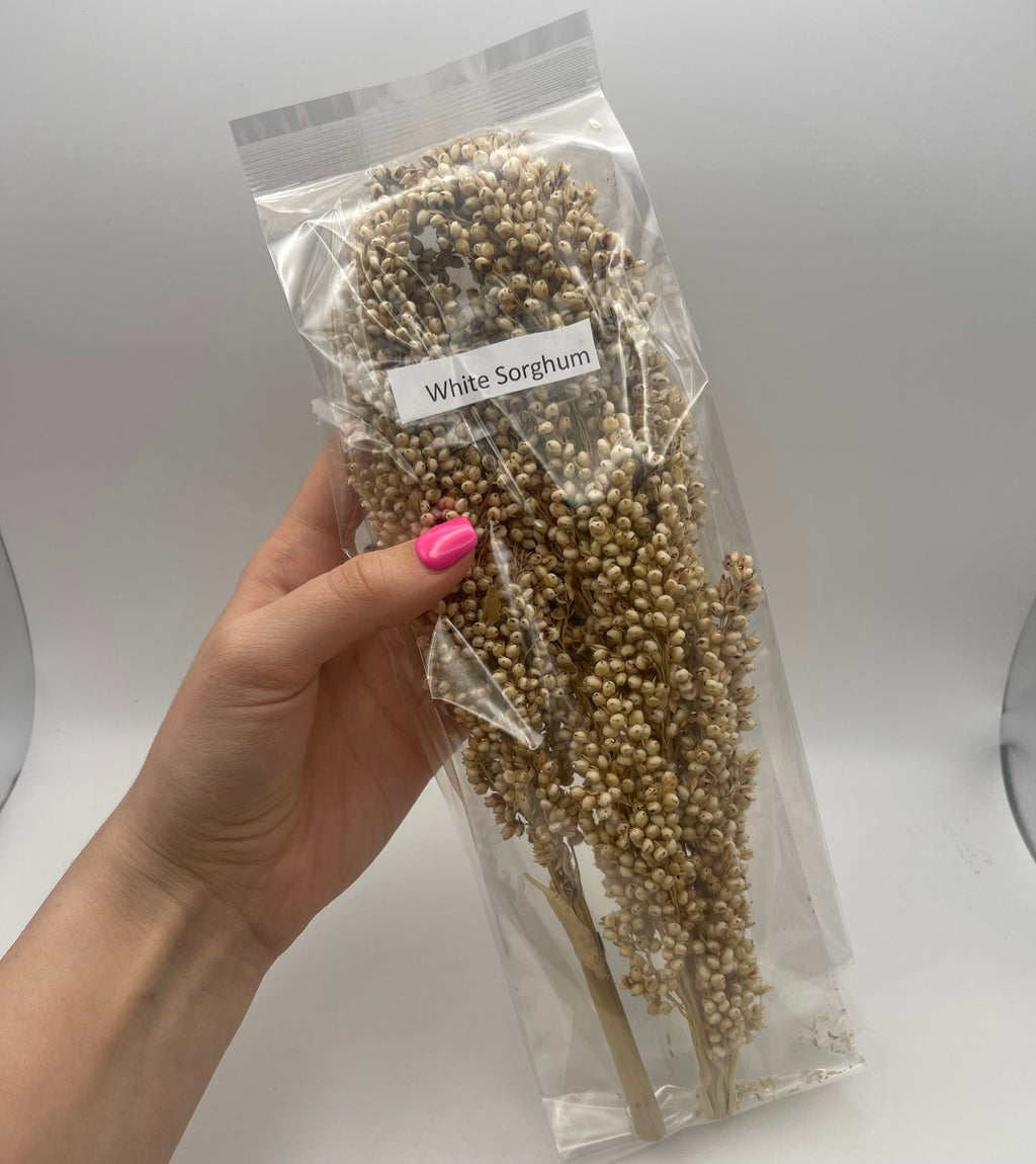 White Sorghum Spray