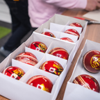 Darren Gough Signed England Cricket Ball Compact Frame