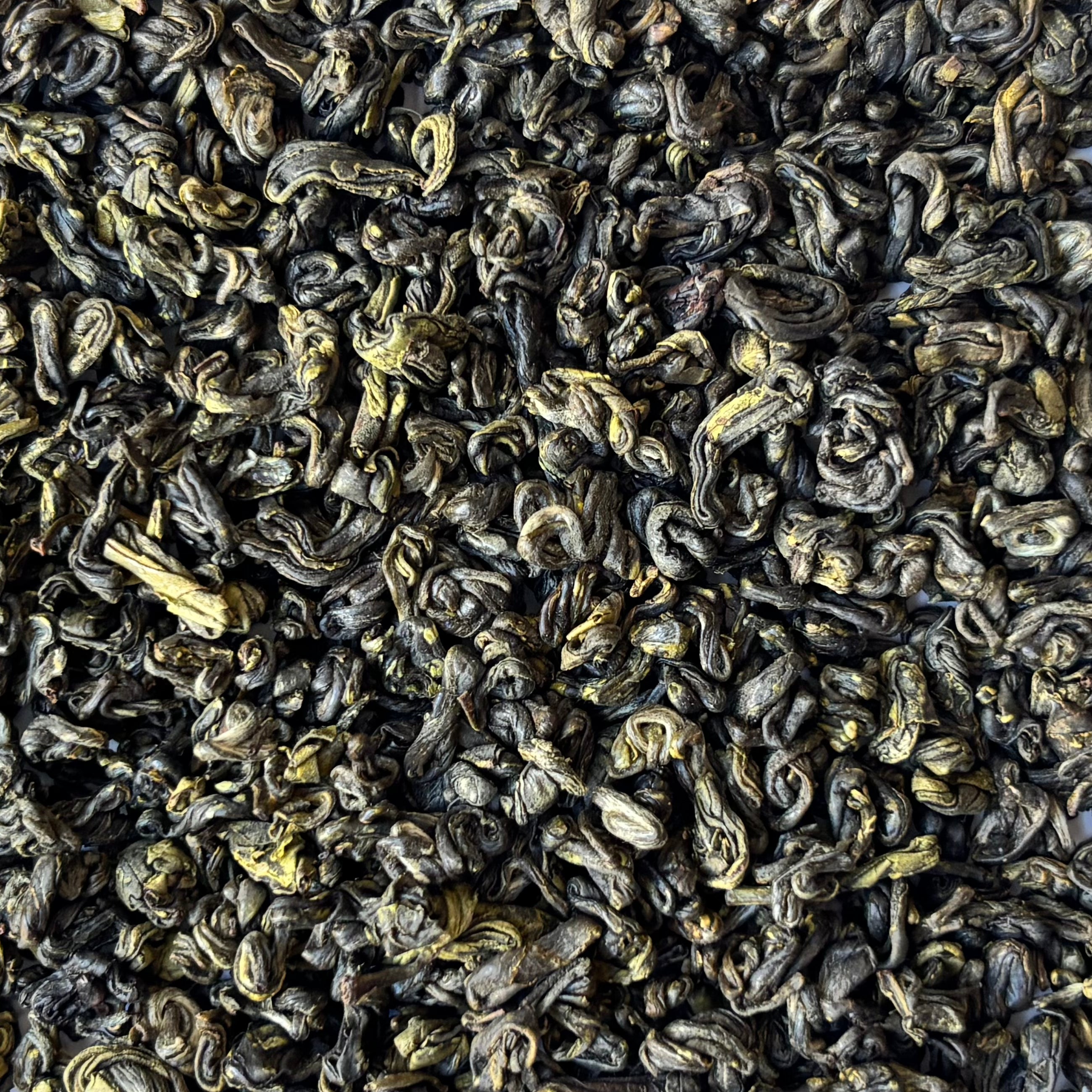 Organic Himalayan Gunpowder Green (Green Pearl) | Wholesale