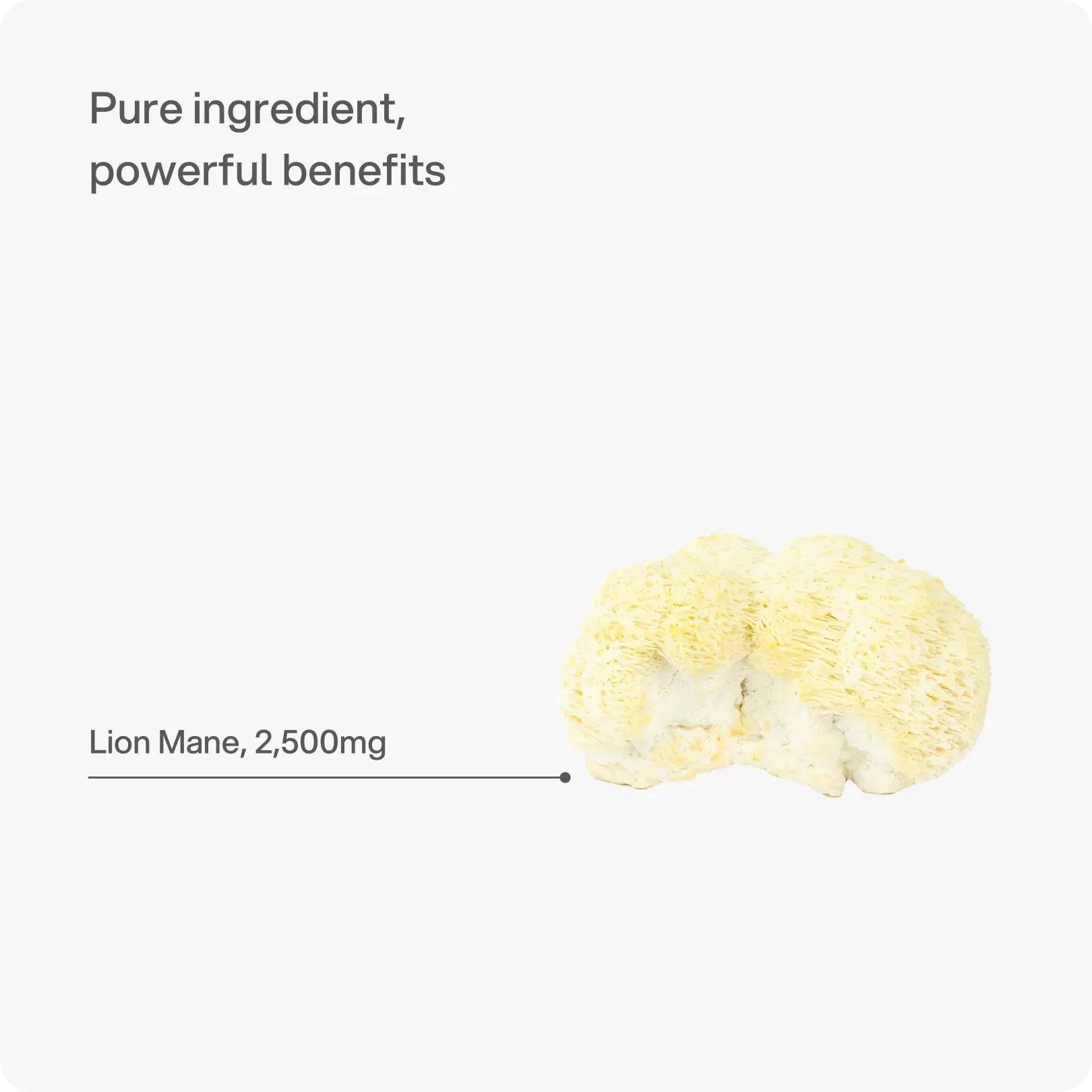 Headstrong Lion's Mane Mushroom Capsules