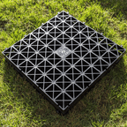 Grass Parking Grids