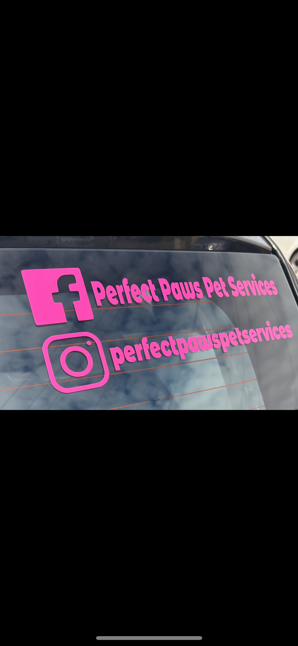 Personalised Car Window Vinyl Decal | Great For Businesses & Pet Social Media