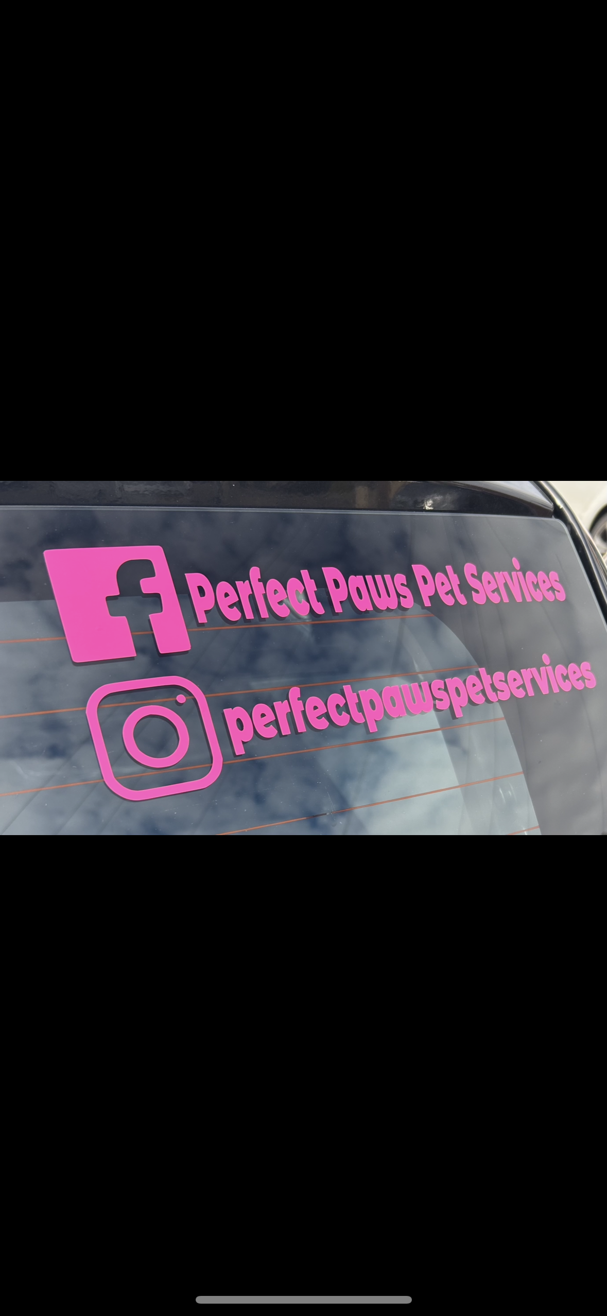 Personalised Car Window Vinyl Decal | Great For Businesses & Pet Social Media
