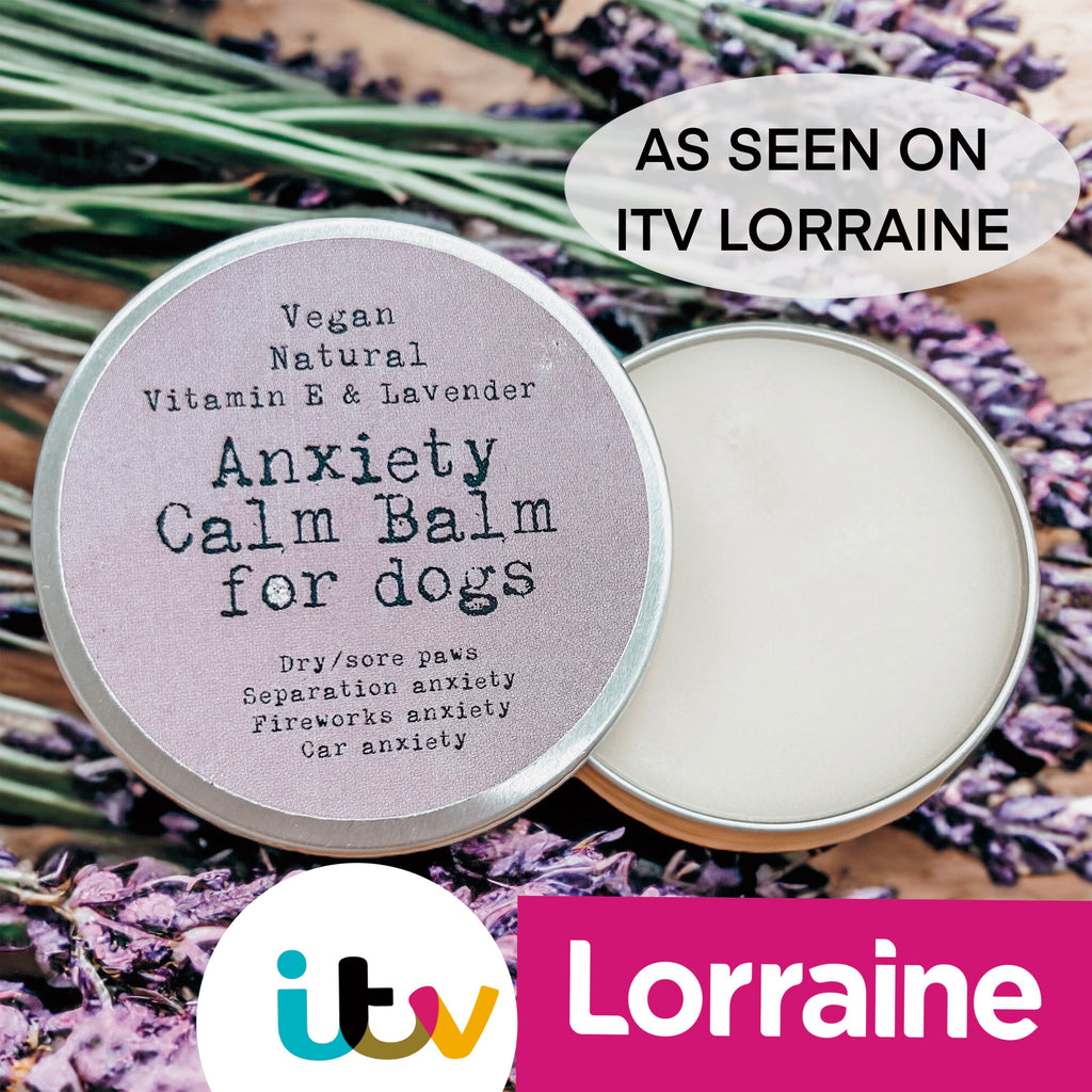 CALM & CARE Paw Balm For Dogs - Special Offer: Grab any 2 paw balms for just £12! The discount magically appears at checkout—no code needed!