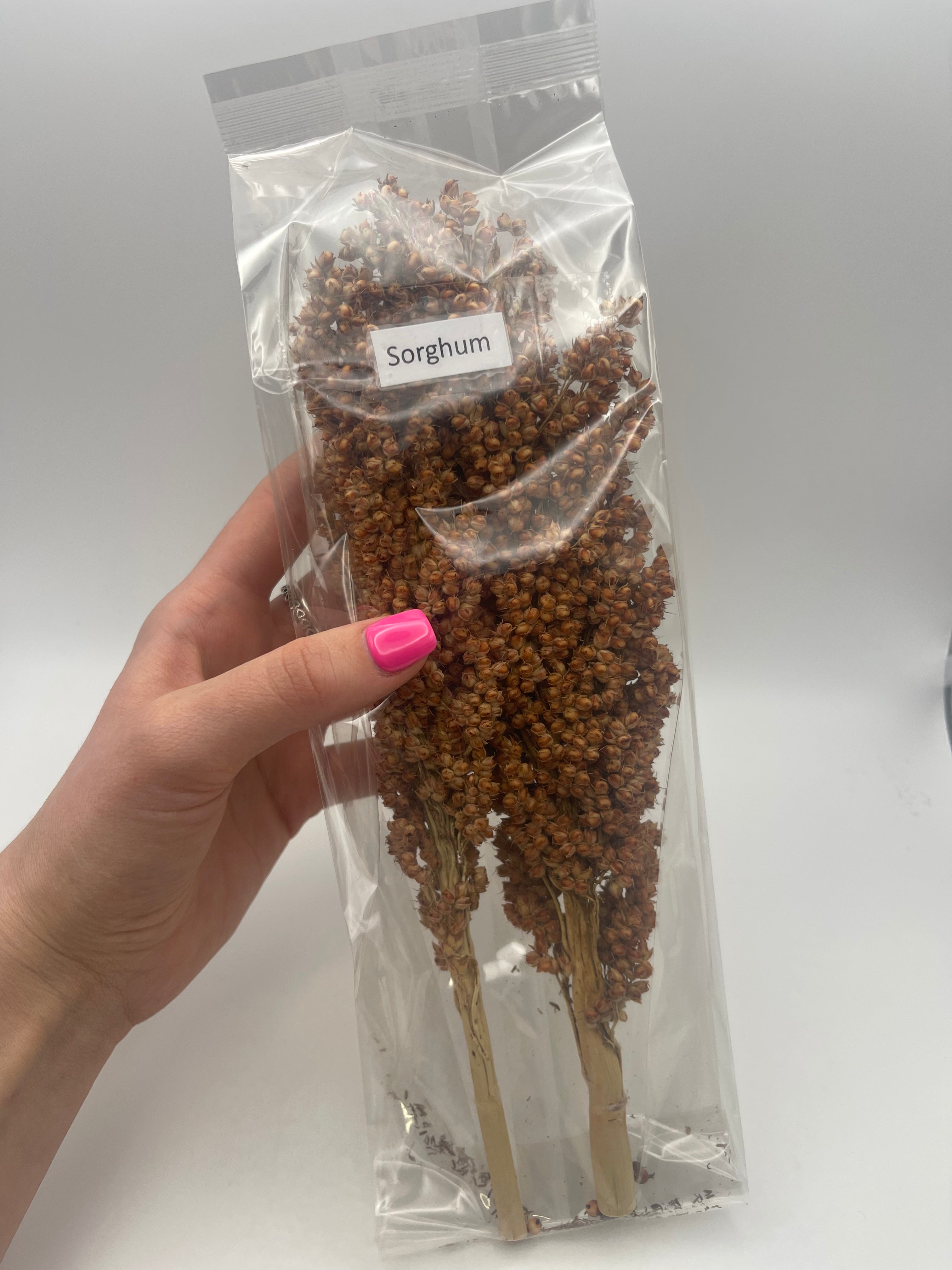 Sorghum Spray
