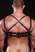 HARLEY LEATHER HARNESS