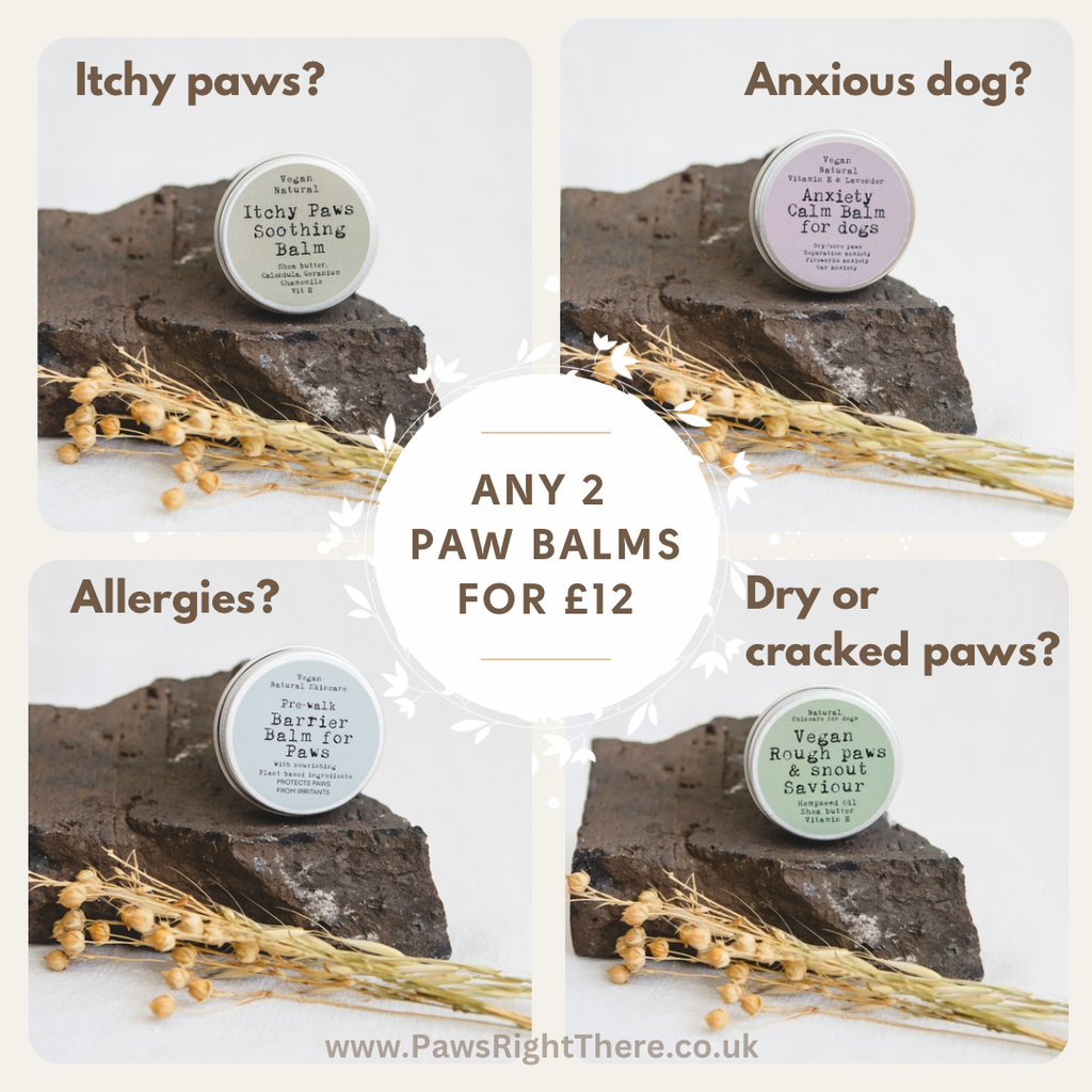 CALM & CARE Paw Balm For Dogs - Special Offer: Grab any 2 paw balms for just £12! The discount magically appears at checkout—no code needed!