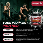 Creatine Monohydrate Powder 300g (75 Servings) – Pure Micronised Creatine Powder Supplement for Men & Women, Pre & Post Workout Strength, Muscle Growth & Recovery, Vegan – Mixed Berry Flavour
