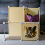 Kitty Cubby Cat Cube Play Tower MIDI