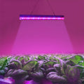 T5 4.8W 15 LEDs Red + Blue Plant Growth Light Greenhouse Light Aquarium Light
