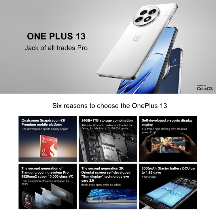 OnePlus 13 PJZ110, 12GB+256GB, Screen Fingerprint Identification, 6.82 inch ColorOS 15.0 / Android 15 Snapdragon 8 Elite 3nm Octa Core, NFC, Network: 5G, 12GB+256GB