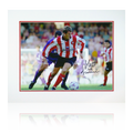 Auction: Matt Le Tissier Signed Southampton Mount