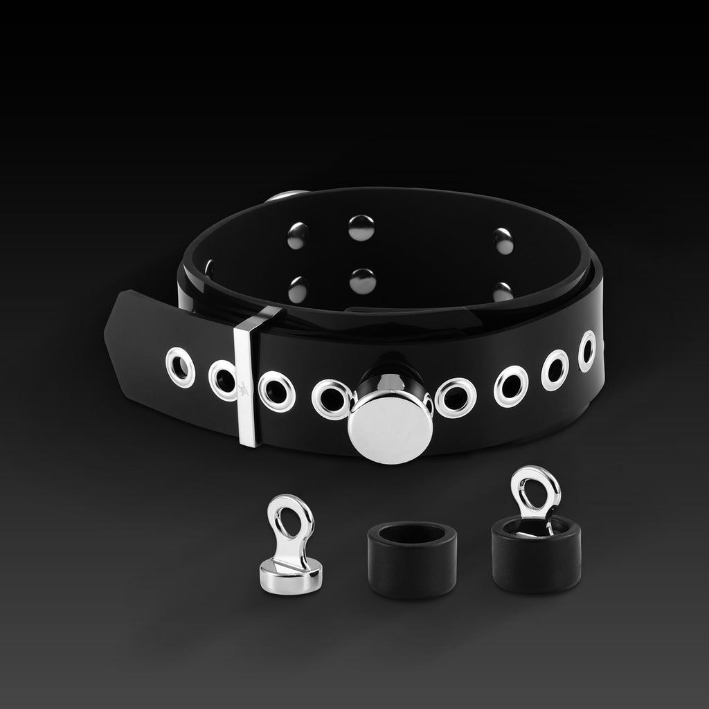 Buckle Harness Combo
