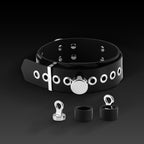 Buckle Harness Combo