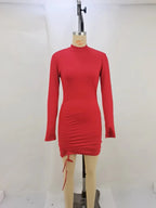 Turtleneck Purple Long Sleeve Pleated Tie Dress
