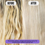 Purple Reign Farbkorrigierendes Shampoo