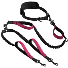 Explosive Double Dog Running Lead