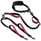 Explosive Double Dog Running Lead
