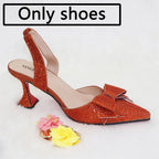Women's Italian Shoes and Bag Set