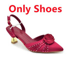New Fashion Women Shoes and Bags To Match Set Nigeria Party Women's Pumps with