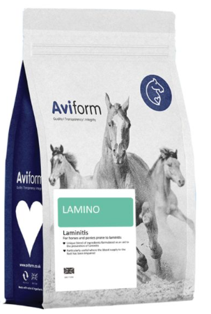 Aviform LAMINO for Horses