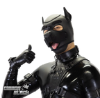 Standard Neoprene Pup Hood