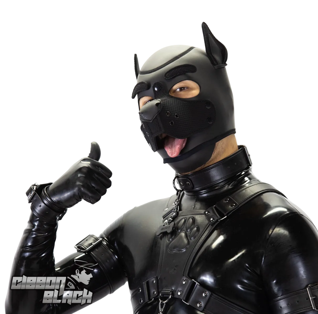 Standard Neoprene Pup Hood