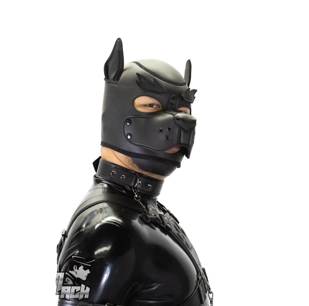 Standard Neoprene Pup Hood