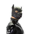 Standard Neoprene Pup Hood