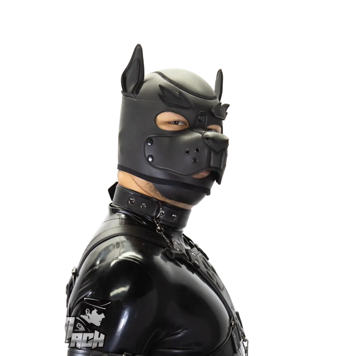 Standard Neoprene Pup Hood